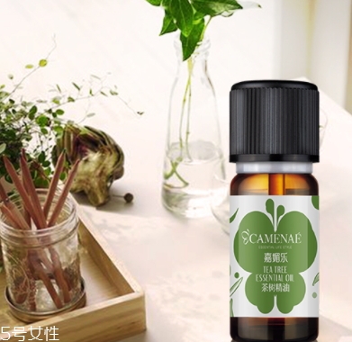 茶樹精油可以治婦科病嗎？茶樹精油怎么治婦科病