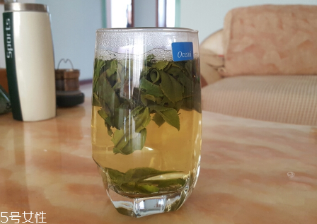 六安瓜片是什么茶？六安瓜片好喝嗎？