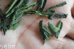 六安瓜片是紅茶還是綠茶？