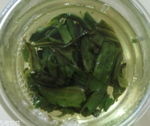 六安瓜片是紅茶還是綠茶？