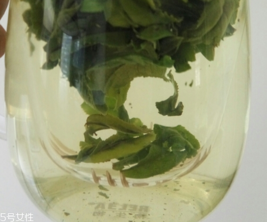 六安瓜片是紅茶還是綠茶？