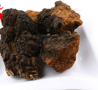樺樹茸怎么吃？樺樹茸正確吃法