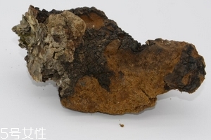 樺樹茸是中藥嗎？樺樹茸屬于中藥嗎
