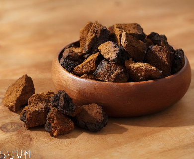 樺樹茸是中藥嗎？樺樹茸屬于中藥嗎