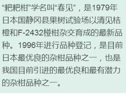 枇杷柑是丑橘嗎？枇杷柑和丑橘的區(qū)別