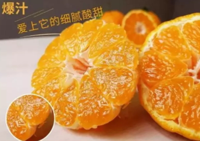 丑八怪可以放冰箱嗎？丑八怪怎么保存