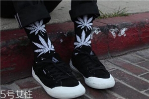 楓葉襪子是什么牌子？楓葉襪子品牌介紹