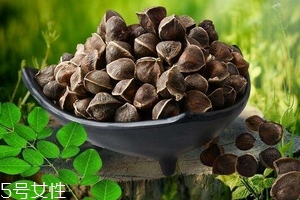 辣木籽能治口臭嗎？口臭吃辣木籽好嗎？