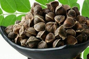 辣木籽哪里產(chǎn)的好？哪里的辣木籽最好？