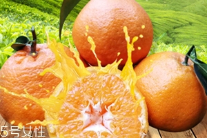 春見是什么水果？春見是丑八怪還是耙耙柑
