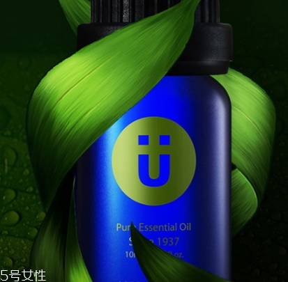 尤加利精油味道是什么？好聞嗎