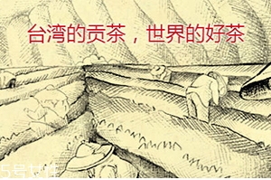 四云奶蓋貢茶哪個好喝？四云奶蓋貢茶點單攻略