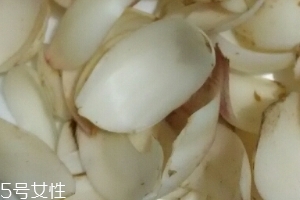 新鮮百合可以燉藕嗎？新鮮百合燉藕好吃嗎？