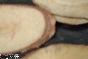 東革阿里是中藥嗎？東革阿里是什么？