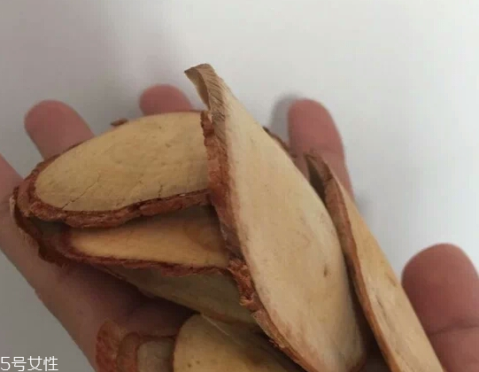 東革阿里是中藥嗎？東革阿里是什么？