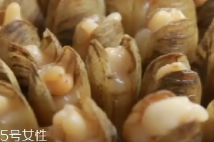 清蒸蟶子的做法 清蒸蟶子怎么做好吃？