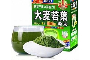 大麥若葉青汁小孩可以喝嗎？