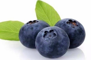 花青素是雌激素嗎？花青素是什么？