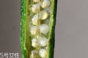 秋葵干好吃嗎？秋葵干怎么吃？
