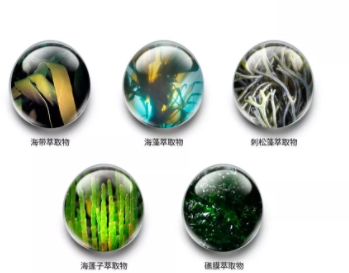 jm防曬噴霧孕婦可以用嗎？jmsolution防曬噴霧成分