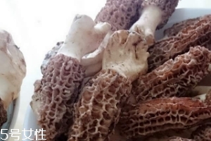 羊肚菌是什么東西？羊肚菌能吃嗎？