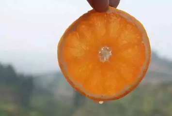 青見柑橘上火嗎？青見柑橘一天吃幾個好