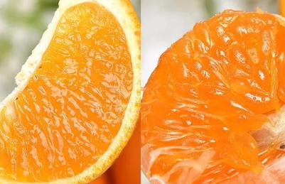 青見柑橘好吃嗎？青見柑橘酸嗎