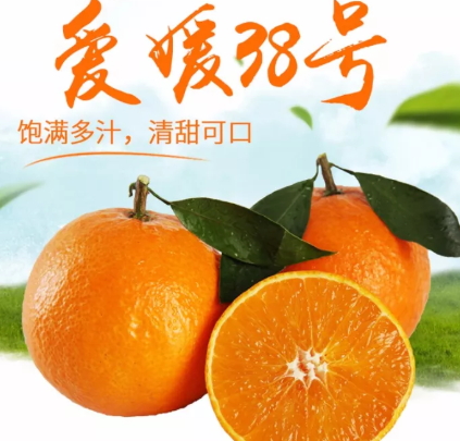 愛(ài)媛38號(hào)是橙子還是橘子？愛(ài)媛38號(hào)適合哪里種植？