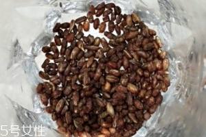 青稞茶怎么沖泡？青稞茶沖泡方法