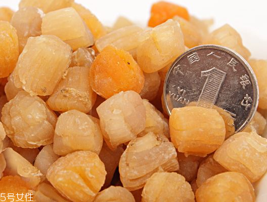 干貝是瑤柱嗎？干貝跟瑤柱的區(qū)別