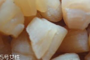 干貝是海鮮嗎？干貝是什么動(dòng)物做的？