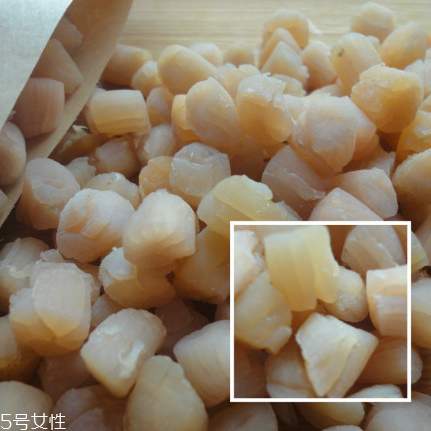 干貝是海鮮嗎？干貝是什么動(dòng)物做的？