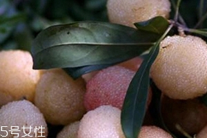白楊梅好還是紅楊梅好吃？白楊梅和紅楊梅對比