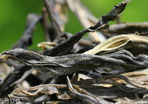 昔歸古樹(shù)茶有哪些特點(diǎn) 昔歸古樹(shù)茶價(jià)格