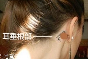 暈車貼貼哪里？暈車貼貼哪里示意圖