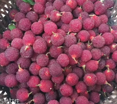 烏酥楊梅多少錢一斤？烏酥楊梅好吃嗎