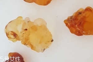桃膠能生吃嗎？生吃桃膠可以嗎？