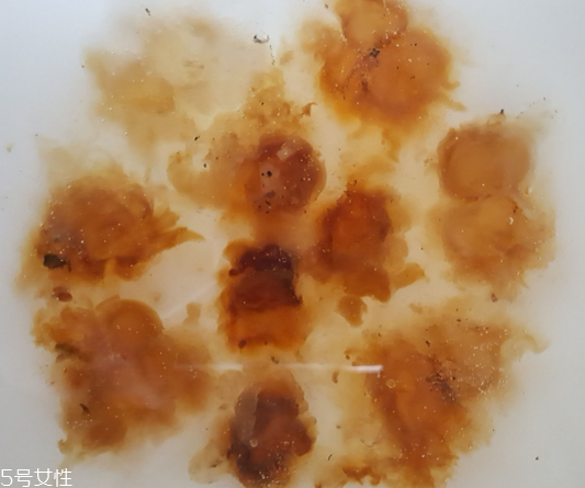 桃膠能生吃嗎？生吃桃膠可以嗎？