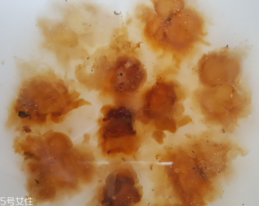 桃膠可以用開水泡嗎？用開水泡桃膠好嗎？