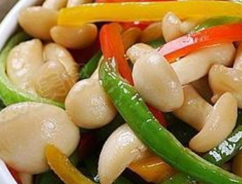 白玉菇怎么吃？白玉菇怎么做好吃