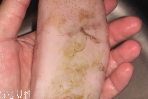 魷魚是海鮮嗎？魷魚屬于海鮮嗎？
