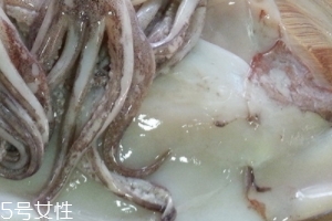 魷魚是烏賊嗎？魷魚跟烏賊是一種嗎？