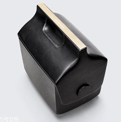 alexander wang與夢龍合作款包包多少錢_在哪買？