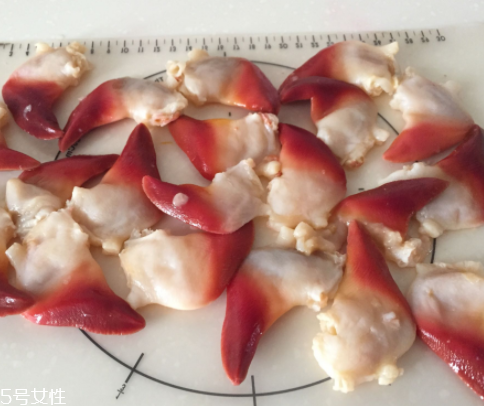 北極貝是海鮮嗎？北極貝介紹