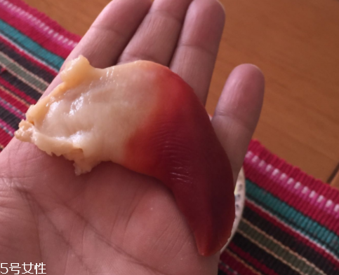 北極貝是海鮮嗎？北極貝介紹
