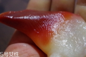 北極貝能不能煮？煮北極貝可以嗎？