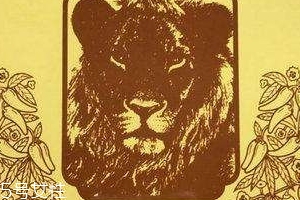 德國(guó)辣椒膏藥怎么樣？德國(guó)辣椒膏藥使用方法