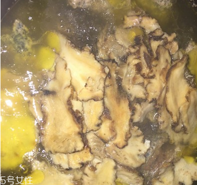 烏骨雞是烏雞嗎？烏骨雞是什么雞？