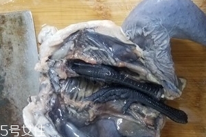 烏雞是公雞好還是母雞好？烏雞買(mǎi)公雞還是母雞？