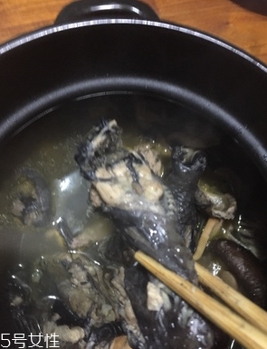 烏雞是公雞好還是母雞好？烏雞買公雞還是母雞？